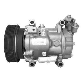 Compre Compressor de ar condicionado de Airstal online para Twingo II Van / Hatchback (CNO_) a preços moderados