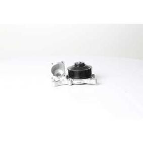 Osta Vesipumppu BSG:llä BSG 15-500-025 edullisesti hintaan 82,51 €