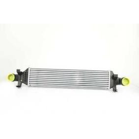 Ladeluftkühler BSG 60-535-002 von BSG günstig für 192,79 € online kaufen