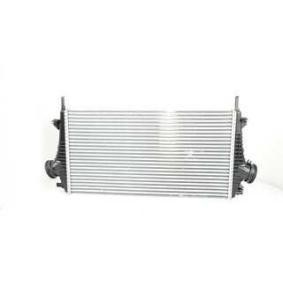 Compre Intercooler da BSG BSG 65-535-002 a um preço baixo por 163,85 €