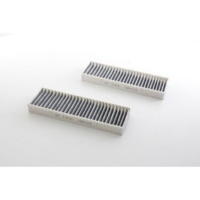 Køb Pollenfilter af BSG BSG 70-145-023 til den lave pris 304,65 DKK