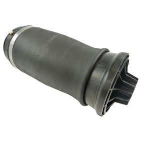 Luftfeder, Fahrwerk 49430452 von CORTECO günstig für 328,12 € online kaufen