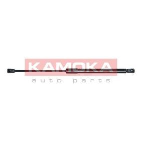 Compre Amortecedor de capô de KAMOKA online para SANTA FÉ I (SM) a preços moderados