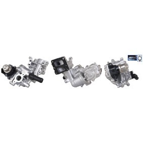 AGR-Ventil 717730396 FORD USA von DRI