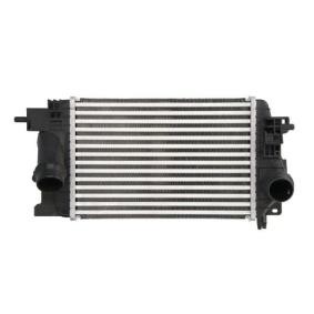Compre Intercooler da THERMOTEC DAX017TT a um preço baixo por 79,31 €