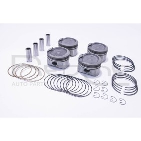 Comprar Pistón de RED-LINE 20TO060 a bajo precio de 326,68 €