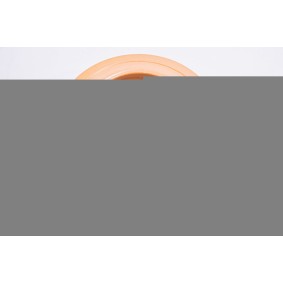 Compre Filtro de ar da RED-LINE 36KI070 a um preço baixo por 22,79 €
