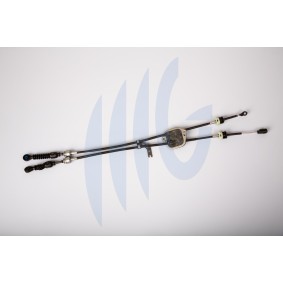 Seilzug, Schaltgetriebe 01069001 von RICAMBIFLEX GM günstig für 130,26 € online kaufen