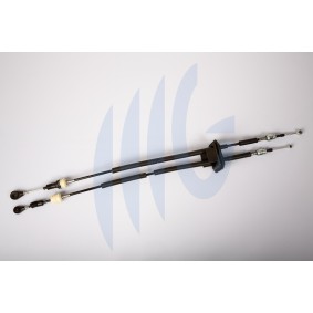 Seilzug, Schaltgetriebe 01129098 von RICAMBIFLEX GM günstig für 218,01 € online kaufen