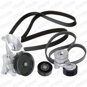 Achetez des Pompe à eau+Jeu de courroie trapézoïdale à nervures STARK SKPRB-5160027 à prix pour 51,78 €