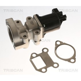 AGR-Ventil 8813 24018 von TRISCAN günstig für 298,45 € online kaufen
