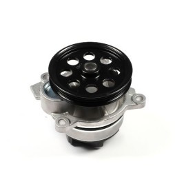 Wasserpumpe P271 von HEPU günstig für 77,56 € online kaufen