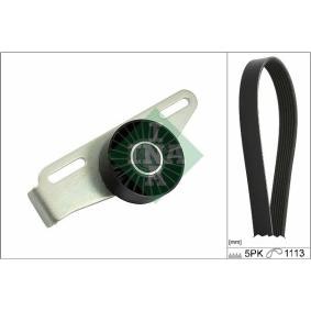 Acquista Kit Cinghie Poly-V da INA 529 0441 10 a buon mercato per soli 41,65 €