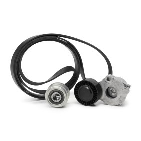 Compre Jogo de correias trapezoidais estriadas da INA 529 0484 20 a um preço baixo por 78,06 €