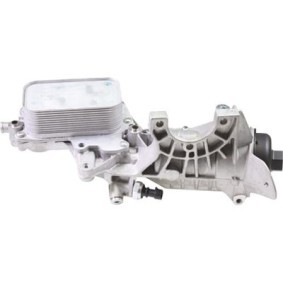 Acquista Radiatore olio motore da BIRTH 80776 a buon mercato per soli 234,77 €