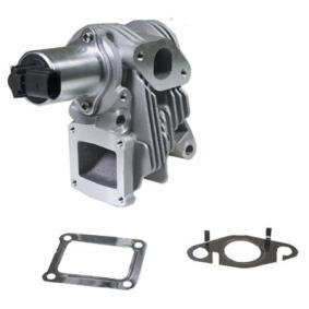 Acquista Valvola EGR da BIRTH 90020 a buon mercato per soli 280,72 €