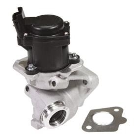 Acquista Valvola EGR da BIRTH 90055 a buon mercato per soli 238,80 €