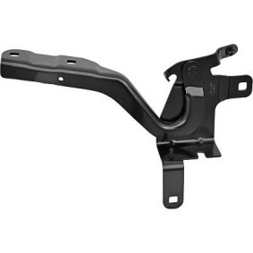 Achetez des Charnière, capot-moteur DIEDERICHS 4416019 à prix pour 50,29 €