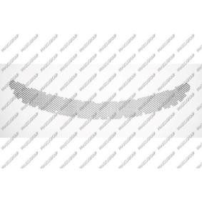 Acquista Griglia paraurti da PRASCO online per 718 Boxster Spyder (982) a prezzi moderati
