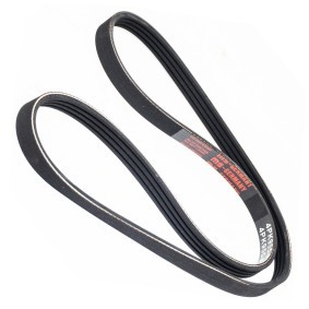 Compre Correia do alternador de MASTER-SPORT online para SKYLINE Coupé (R32) a preços moderados