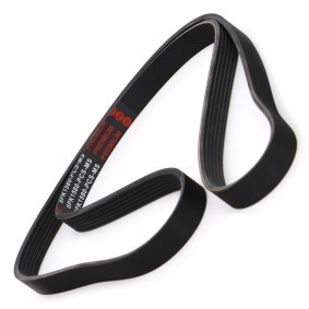 Keilrippenriemen von MASTER-SPORT 6PK1580-PCS-MS