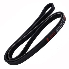 Compre Correia do alternador de MASTER-SPORT online para TAURUS (P5_) a preços moderados