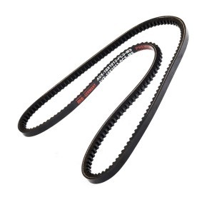 Keilriemen AVX-10X1013-PCS-MS von MASTER-SPORT günstig für 4,75 € online kaufen