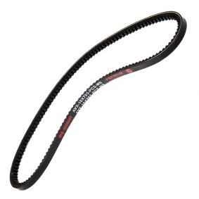 Keilriemen AVX-10X785-PCS-MS von MASTER-SPORT günstig für 2,80 € online kaufen