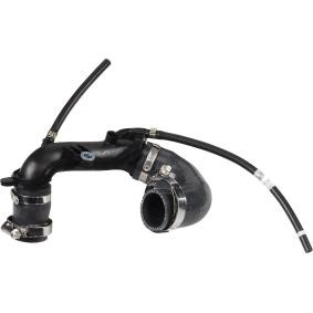 Compre Tubo flexível do ar de sobrealimentação da RAPRO R12450 a um preço baixo por 62,78 €