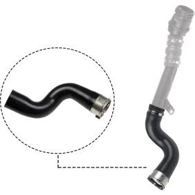 Compre Tubo flexível do ar de sobrealimentação da RAPRO R12602 a um preço baixo por 79,09 €