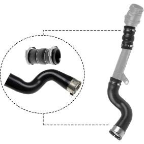 Compre Tubo flexível do ar de sobrealimentação da RAPRO R12602/K a um preço baixo por 90,00 €