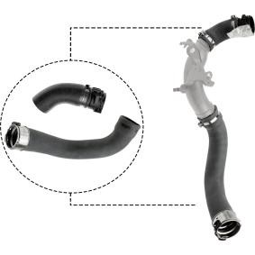Compre Tubo flexível do ar de sobrealimentação da RAPRO R12625/K a um preço baixo por 110,14 €