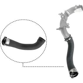 Compre Tubo flexível do ar de sobrealimentação da RAPRO R12626 a um preço baixo por 66,06 €