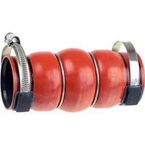 Compre Tubo flexível do ar de sobrealimentação da RAPRO R15579 a um preço baixo por 26,62 €
