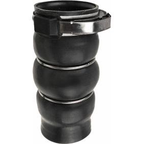 Compre Tubo flexível do ar de sobrealimentação da RAPRO R15604 a um preço baixo por 21,31 €