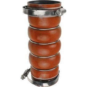 Compre Tubo flexível do ar de sobrealimentação da RAPRO R15618 a um preço baixo por 49,82 €