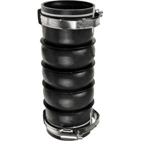 Compre Tubo flexível do ar de sobrealimentação da RAPRO R15619 a um preço baixo por 30,26 €
