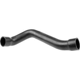 Kühlerschlauch R19102 von RAPRO günstig für 12,37 € online kaufen
