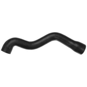 Kühlerschlauch R19161 von RAPRO günstig für 10,21 € online kaufen