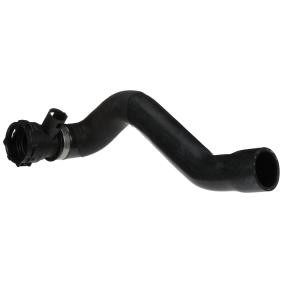 Kühlerschlauch R19173 von RAPRO günstig für 21,06 € online kaufen