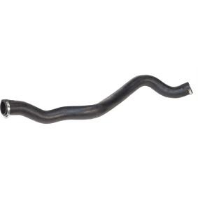Compre Tubo flexível do ar de sobrealimentação da RAPRO R27120 a um preço baixo por 66,78 €