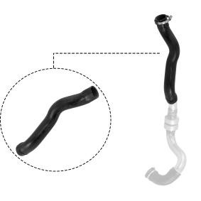 Compre Tubo flexível do ar de sobrealimentação da RAPRO R27130 a um preço baixo por 35,73 €