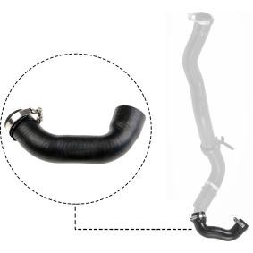 Compre Tubo flexível do ar de sobrealimentação da RAPRO R27132 a um preço baixo por 22,06 €