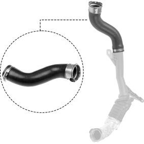 Compre Tubo flexível do ar de sobrealimentação da RAPRO R27140 a um preço baixo por 76,32 €
