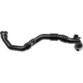 Compre Tubo flexível do ar de sobrealimentação da RAPRO R27168 a um preço baixo por 129,92 €