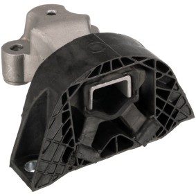 Motorlager für RENAULT von RAPRO