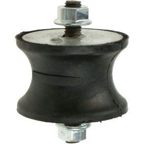 Motorlager für FORD von RAPRO