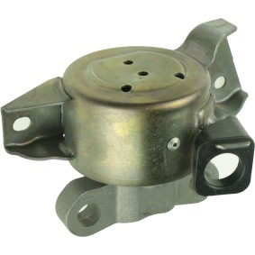 Motorlager für VAUXHALL von RAPRO