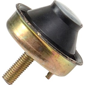 Motorlager für PEUGEOT von RAPRO