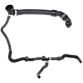 Compre Tubo flexível do ar de sobrealimentação da RAPRO R69147 a um preço baixo por 48,48 €